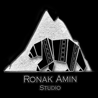 Ronak Amin Studio